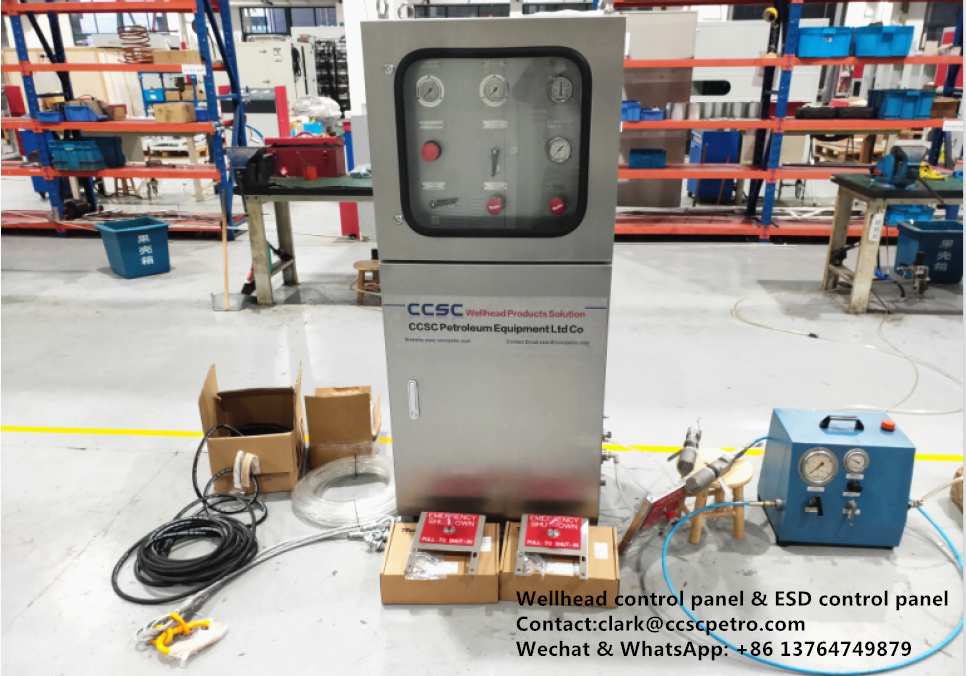 Wellhead Control Panel for Turkey